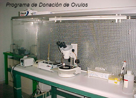 Programa de Donación de óvulos