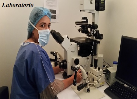 Laboratorios